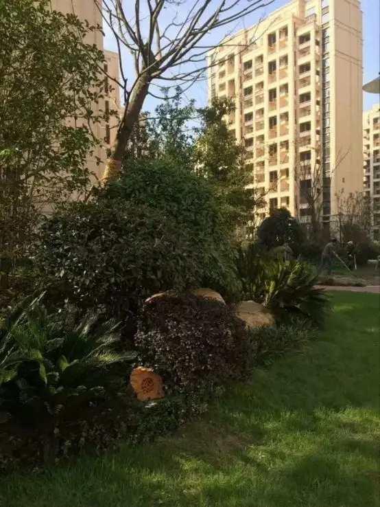背景音乐系统